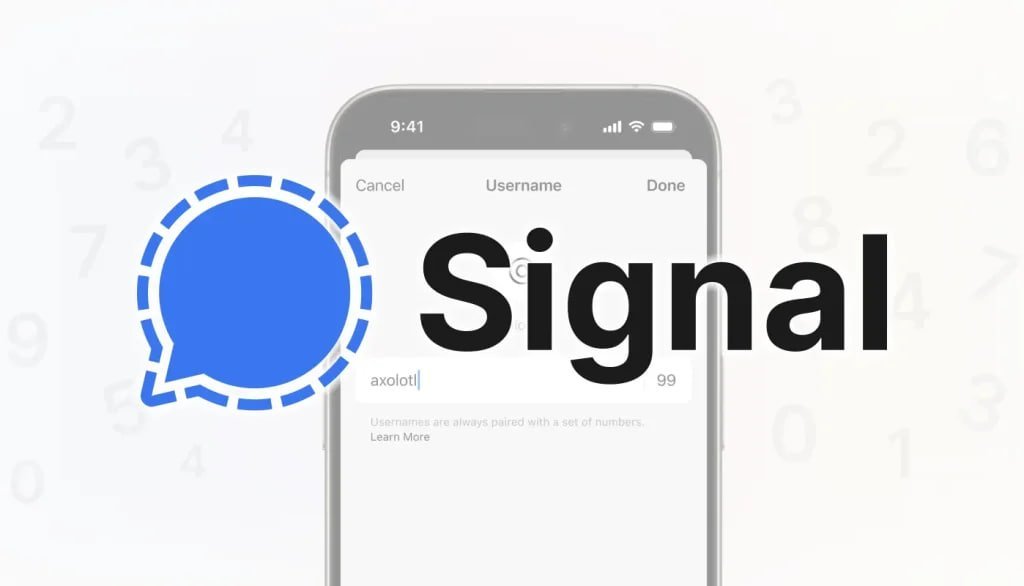 Signal：端到端加密的基石，如何构建你的数字隐私堡垒
